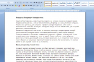 Решено. Покупаем банную печь