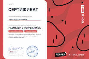 Сертификат курса Paper Ninja