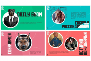 Инвесторская презентация для YouTube - шоу DogsNews