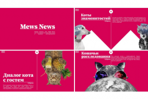 Инвесторская презентация для YouTube - шоу MewsNews