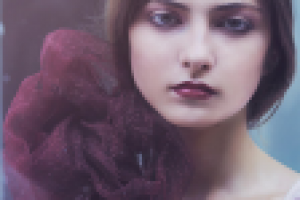 Работа 2046987