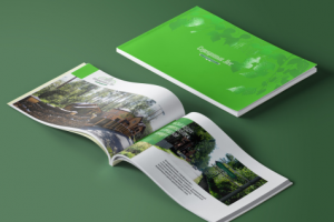 Разработка каталога для застройщика