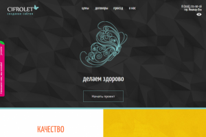 Веб-студия Цифролёт