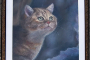 Рыжий кот