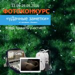 img3099208.png