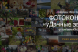 Баннер фотоконкурса