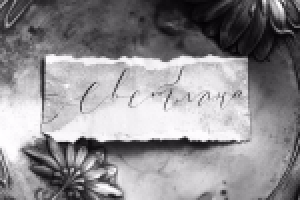 Карточка рассадки