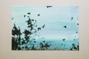 Работа 2884292