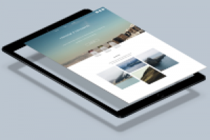 Работа 3017408