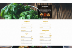 Одностраничный сайт (landing page)