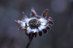 Время пришло