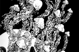 Череп, медузы