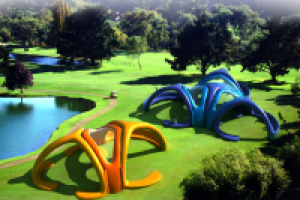 надувные конструкции (диплом)