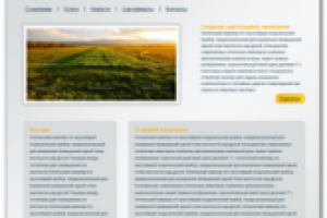 Верстка проекта «VILENA»