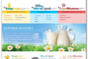 Верстка проекта «BEARMARKET»