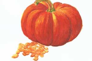 Рисунки для упаковки