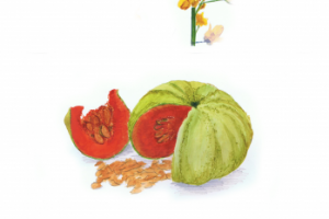 Рисунки для упаковки