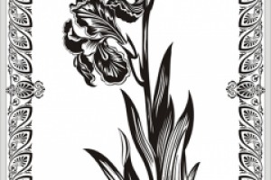 Работа 3637463