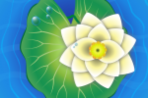 Водяная лилия