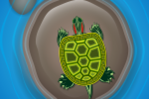 Черепаха