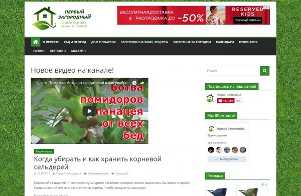 img3458851.png