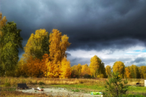 Работа 3808500