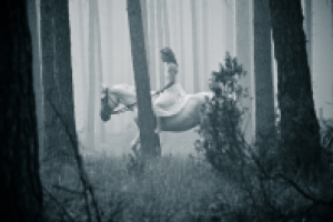 Работа 2408468