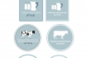 Работа 2833351