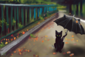 Black cat