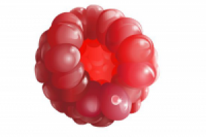 Малина - отрисовка вектора во флеше