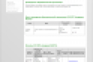 Разрабатываемый проект