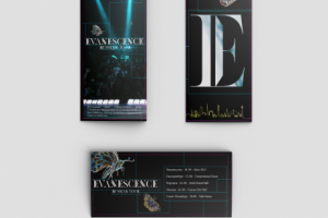 Айдентика гастролей по России "Evanescence"