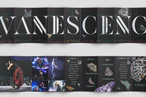 Айдентика гастролей по России "Evanescence"