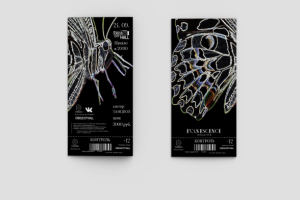 Айдентика гастролей по России "Evanescence"