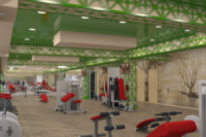 Проект фитнес клуба. г. Москва. Тренжерный зал.