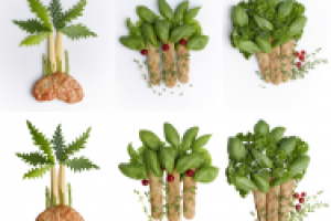 ретушь+обтравка