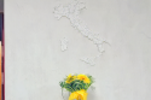 Венецианская штукатурка в интерьере ресторана (2012)