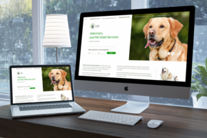 Landing page [Вет.клиника "Панда"]