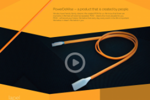 Вариант оформления сайта PowerDeWise