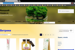 Аудит сайта интернет магазина косметики и товаров пчеловодства.