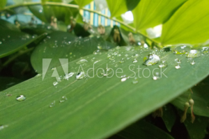 Работа 3791902