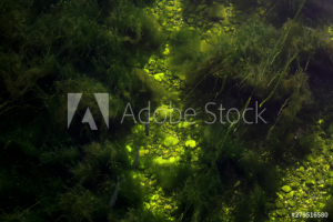 Работа 3791163