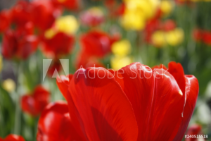 Работа 3791151