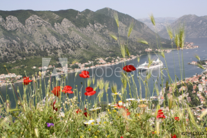 Работа 3791177