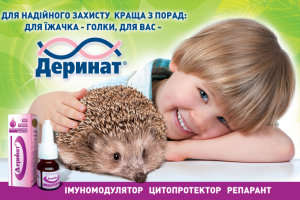 Работа 3717465