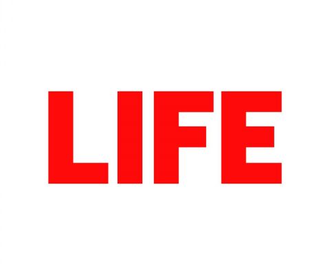 img3732835.png