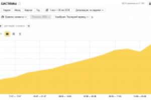 Продвижение интернет-магазина по всей России (3 месяца работ)