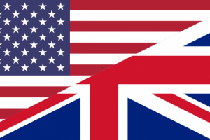 Могу перевести текст с английского или на него.