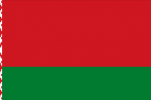 Смогу перевести на белорусский или с него