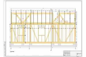 Рабочее проектирование. Строительные конструкции.